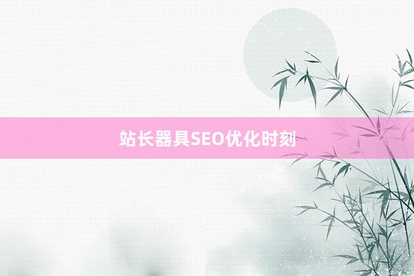 站长器具SEO优化时刻