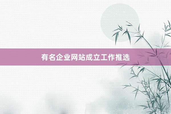 有名企业网站成立工作推选