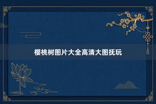 樱桃树图片大全高清大图抚玩
