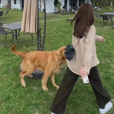 最后的狙击战